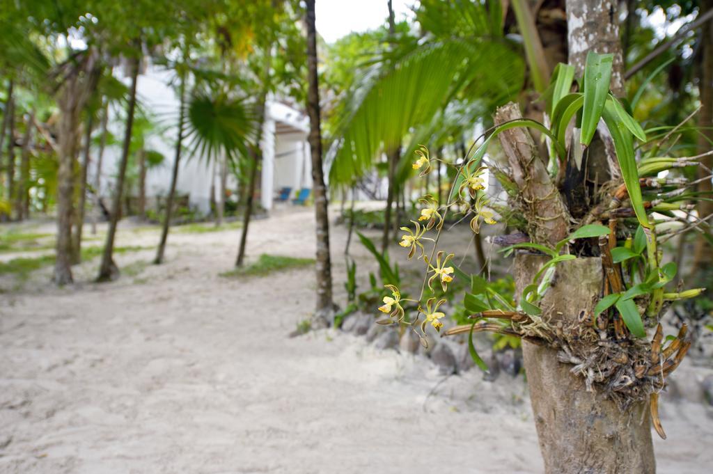 Mestizo Hotel Boutique Tulum Zimmer foto